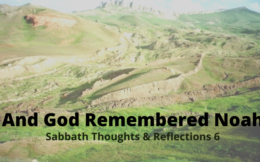 And God Remembered Noah-Sabbath Thoughts & Reflections 6