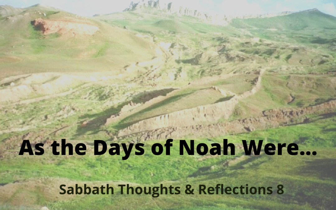 As the Days of Noah Were…Sabbath Thoughts and Reflections 8