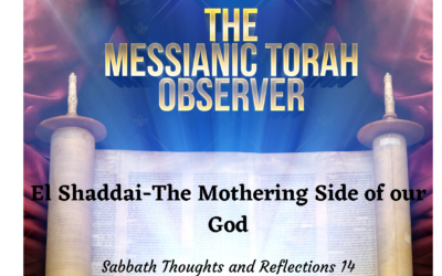 El Shaddai-The Mothering Side of our God-STAR 14